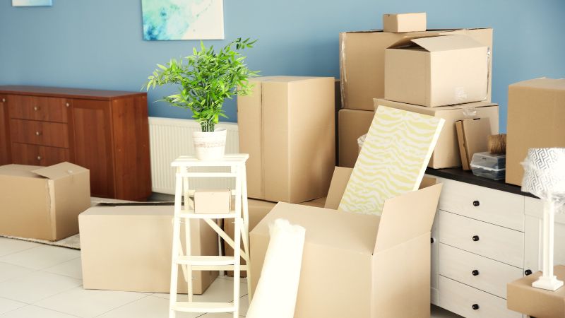 Avza Move packing and moving services icon or illustration 1